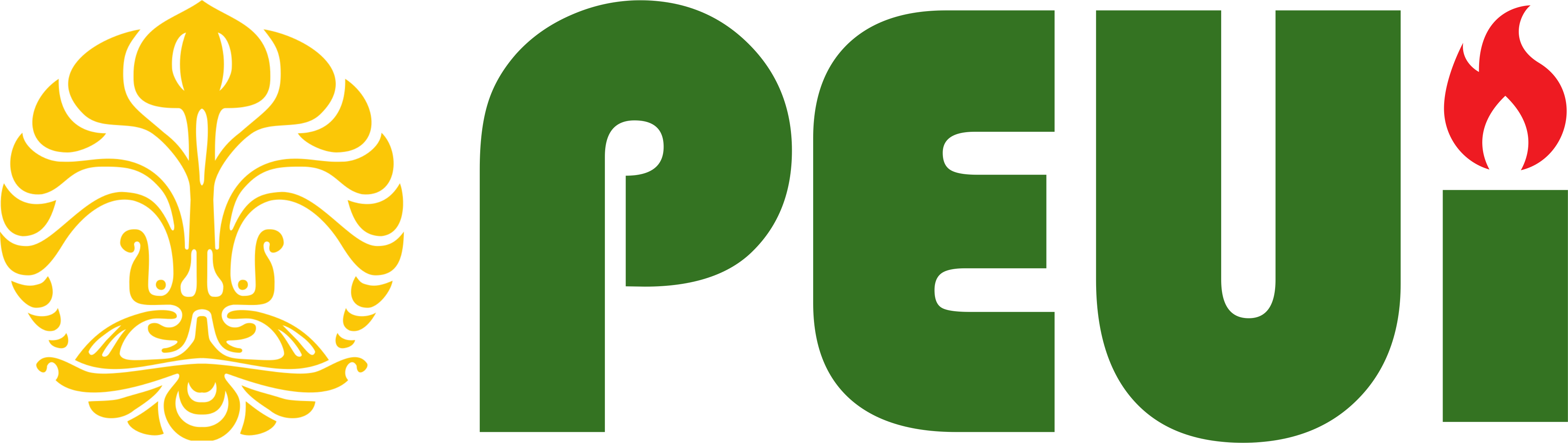 PEUI